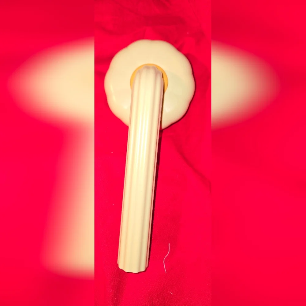 Self cleaning brush